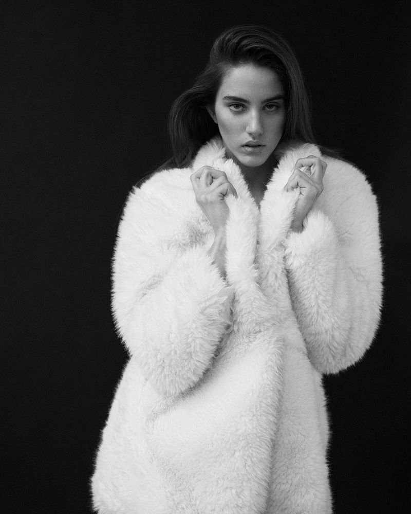 Dasha ABA models