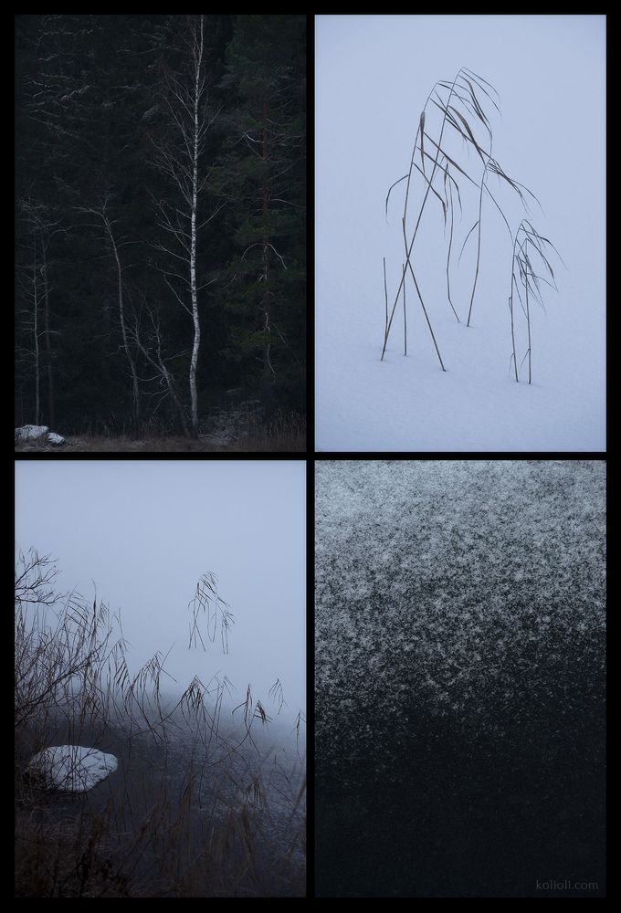 Хокку
