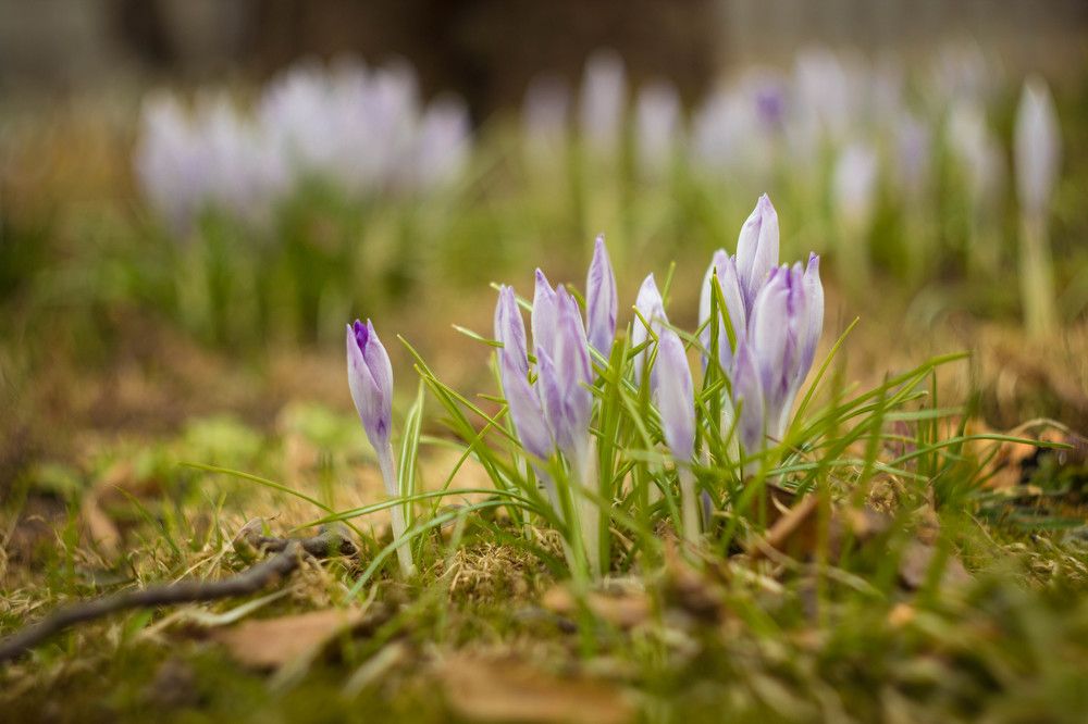 Photo 2405159