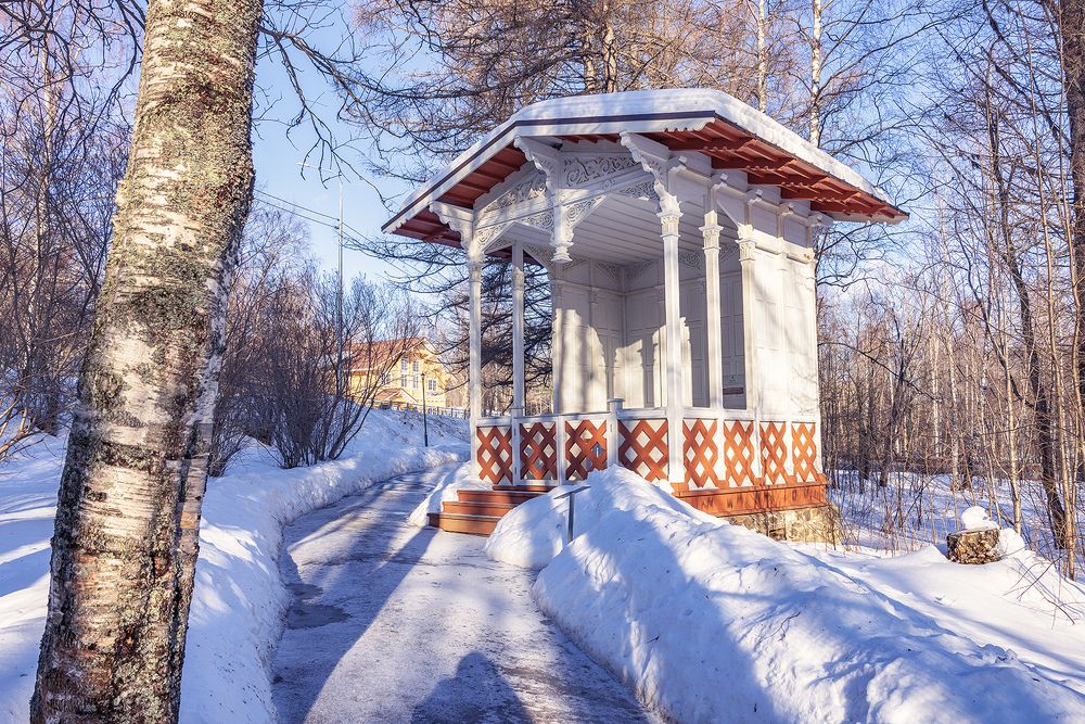 Марциальные воды 5