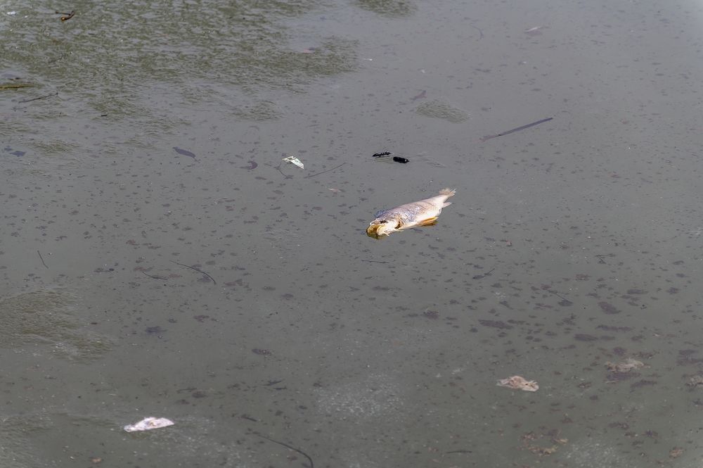 Лёд и вода