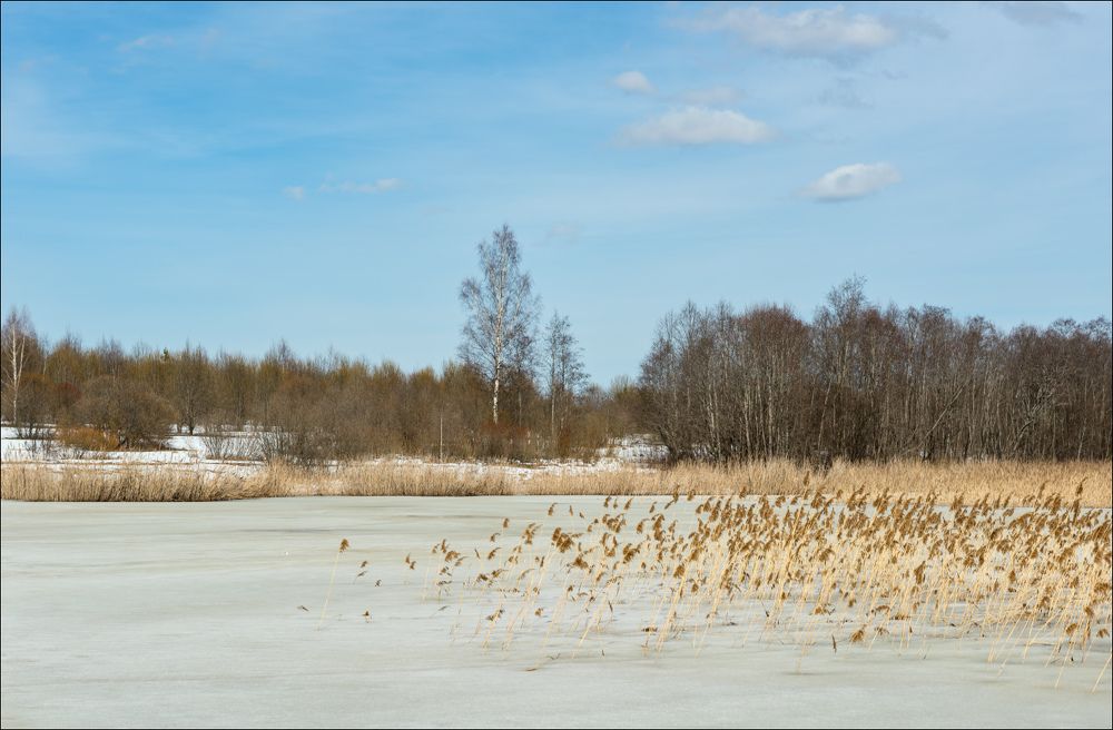 Пастель весеннего дня на речке