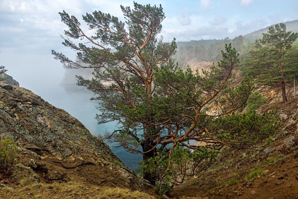 Туманные берега Байкала