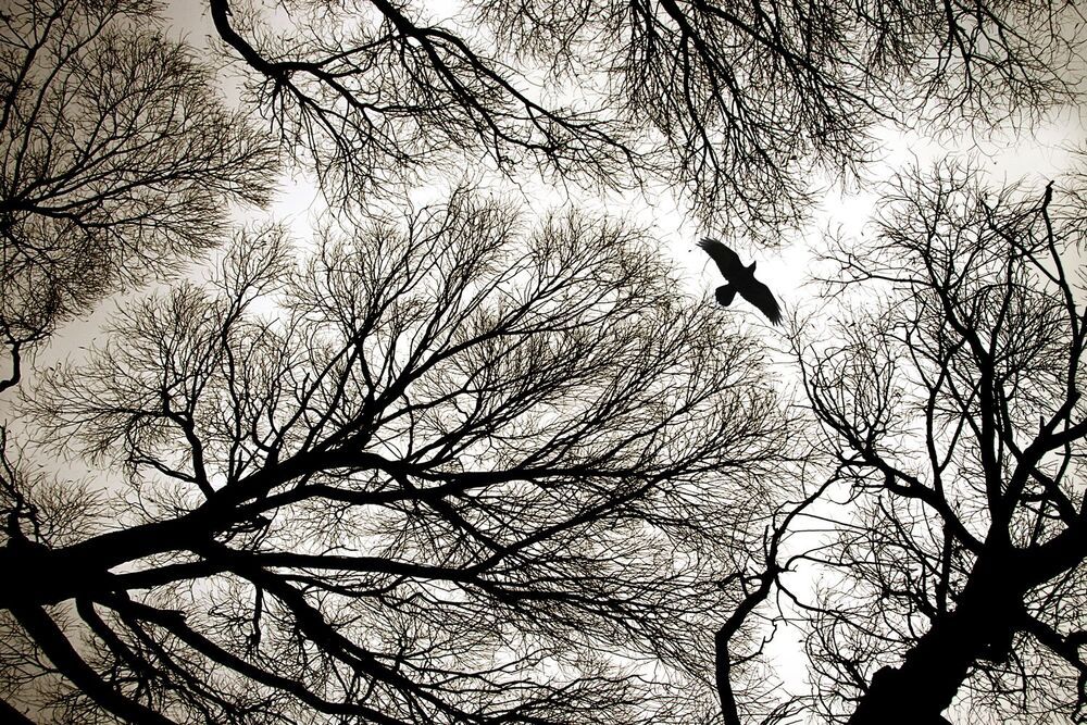 Photo 2406882