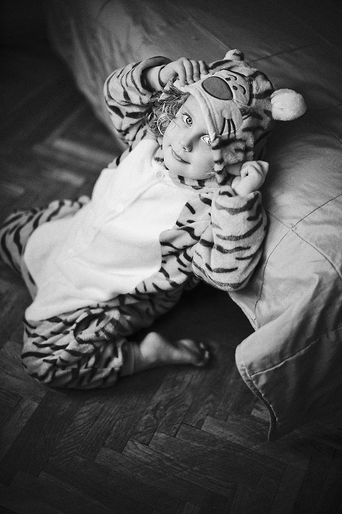 Photo 2406997