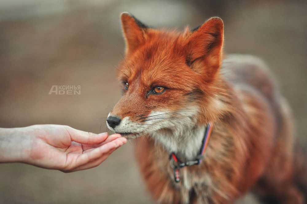 Photo 2407834