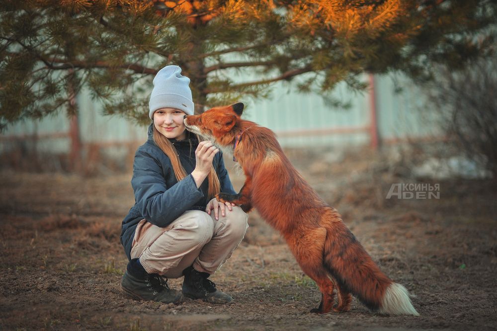 Хозяйка лиса Феликса