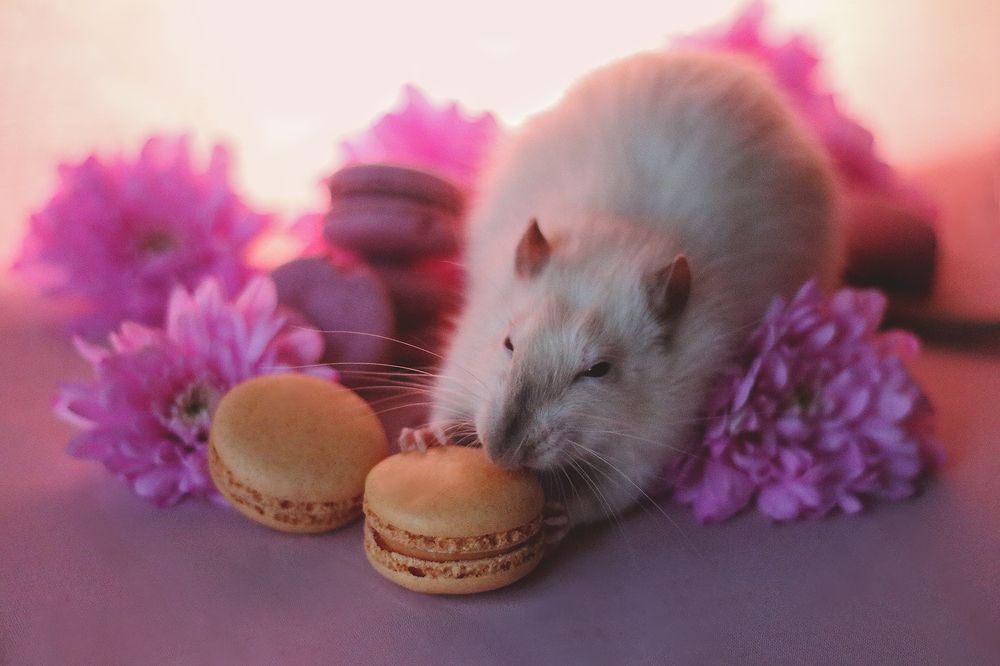 Spring mood