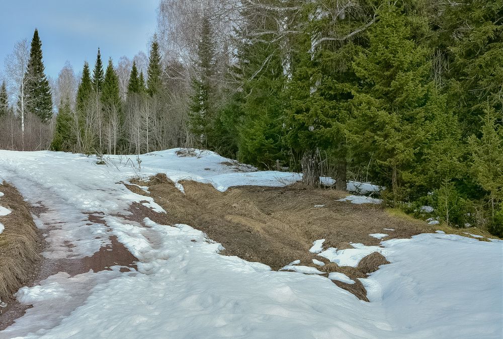 Весенние проталины