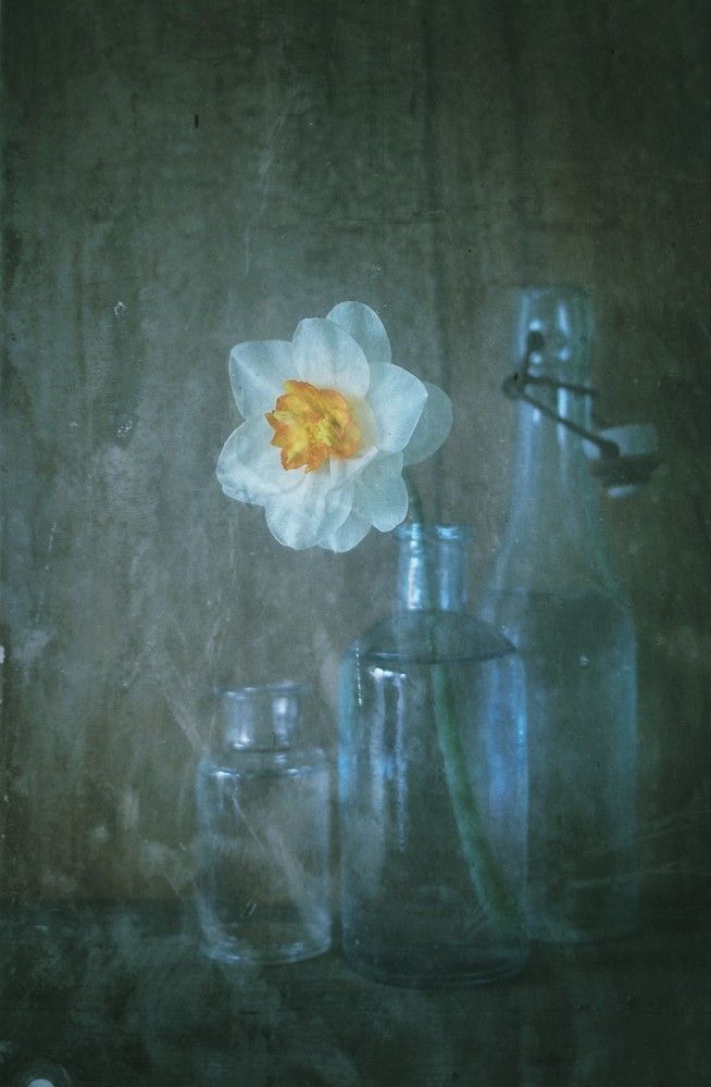 awakening