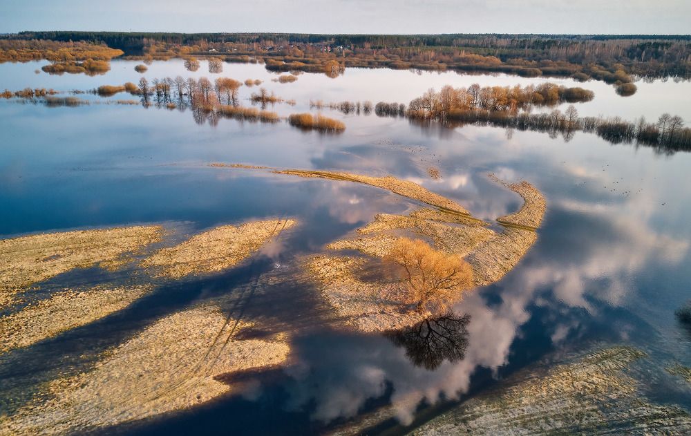 Половодье на Свислочи