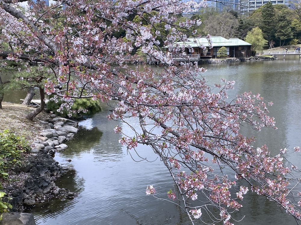 Tokyo