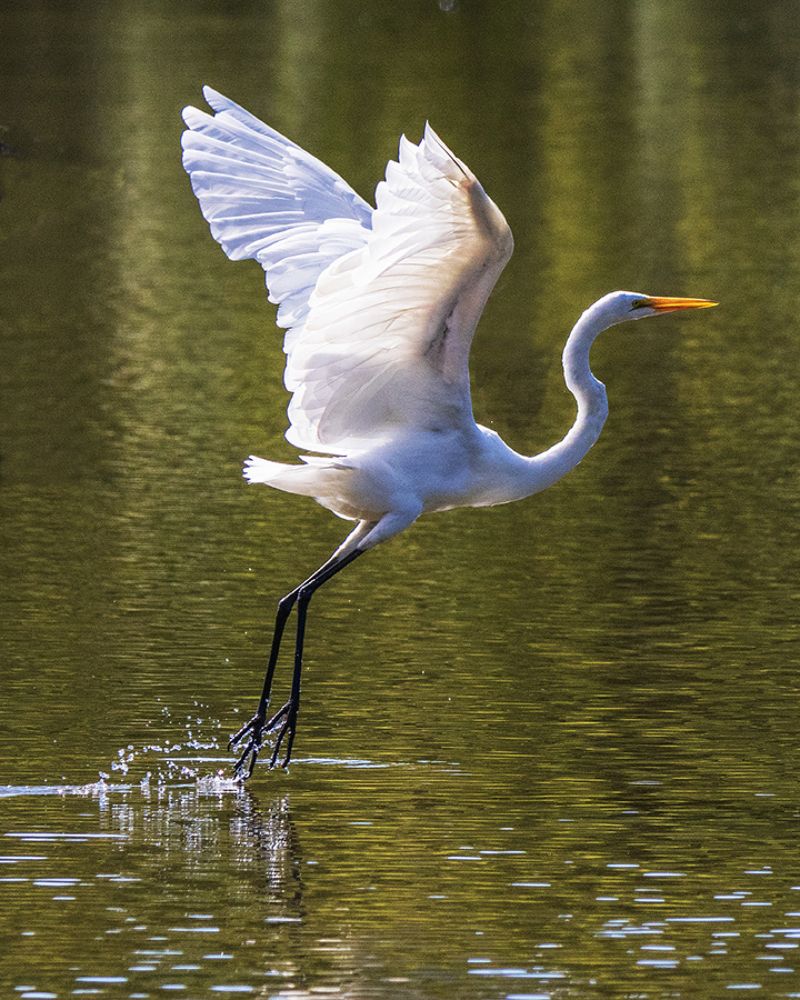 Photo 2409459