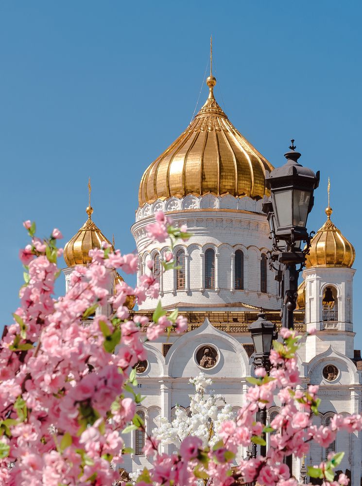 декорации на Патриаршем мосту