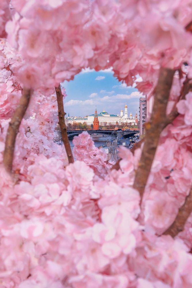 декорации на Патриаршем мосту