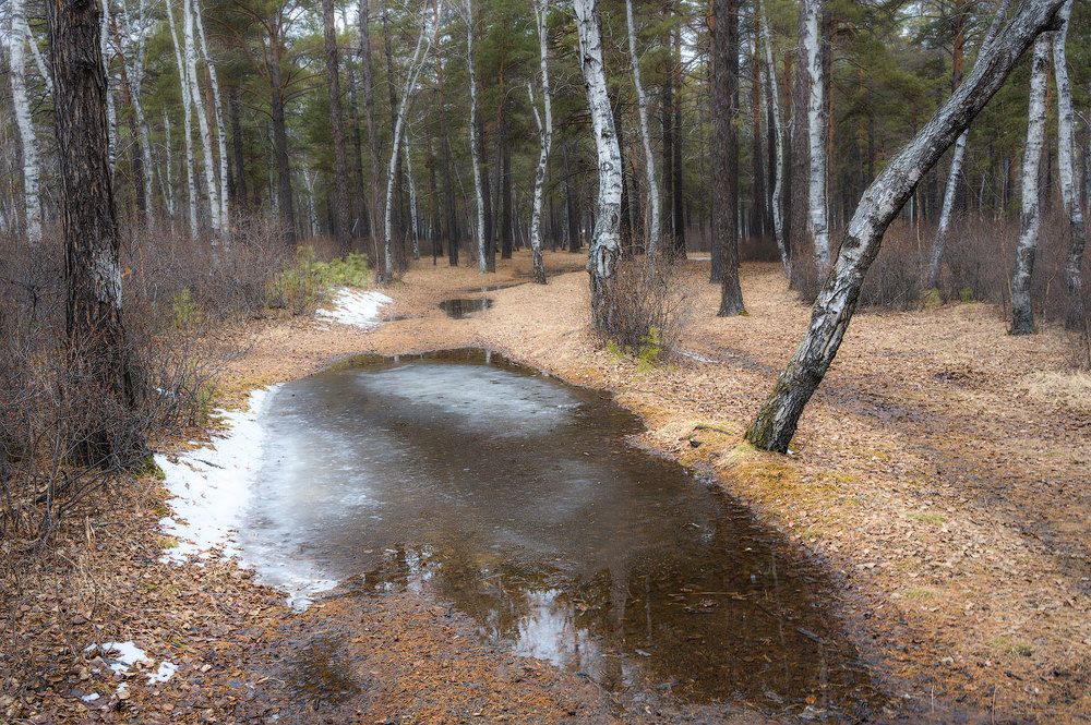 Апрельские зарисовки