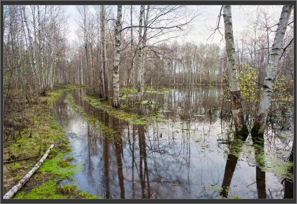Водный путь