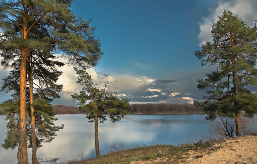 Дубы, сосны и вода.