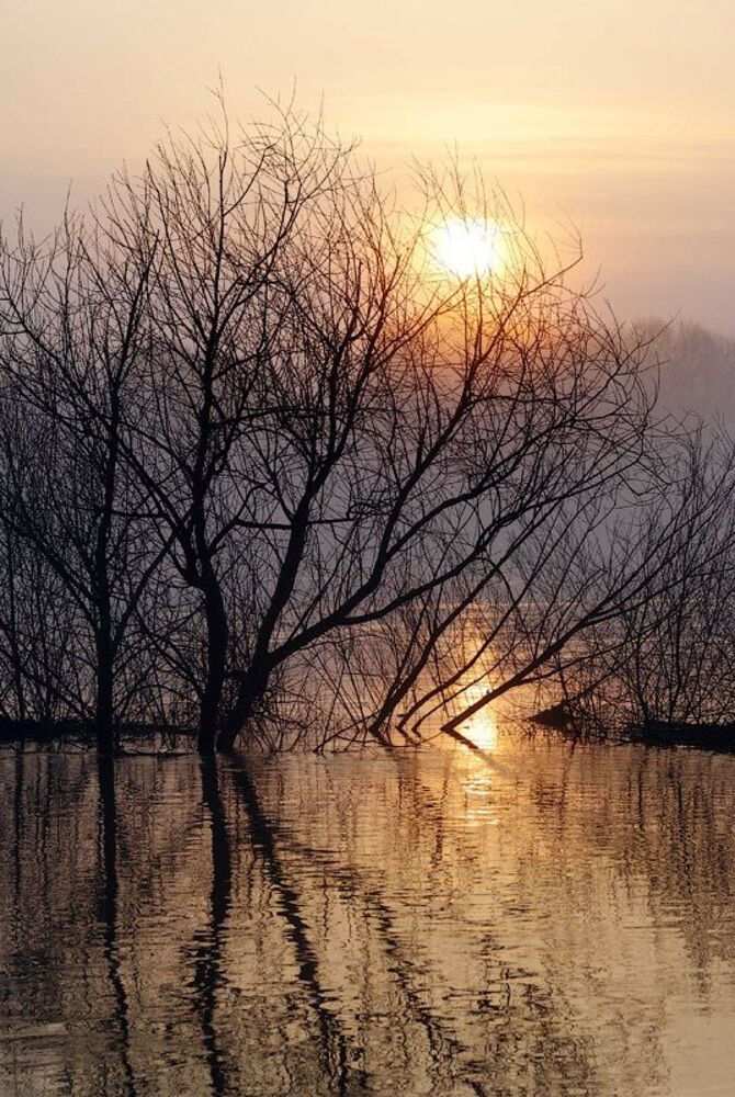Большая вода