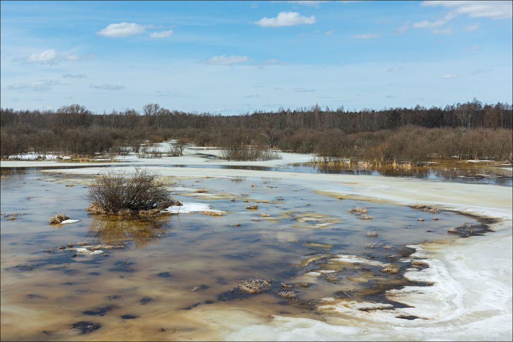 Весна на заливных лугах