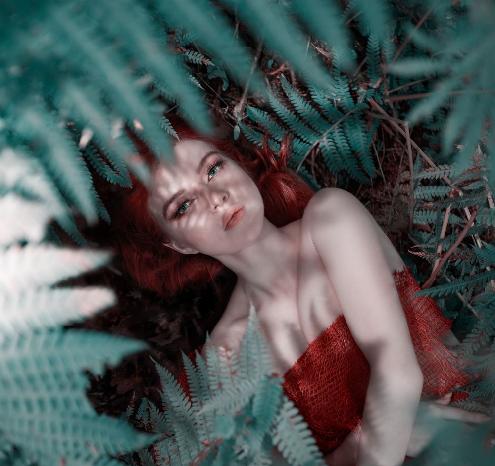 Magic fern