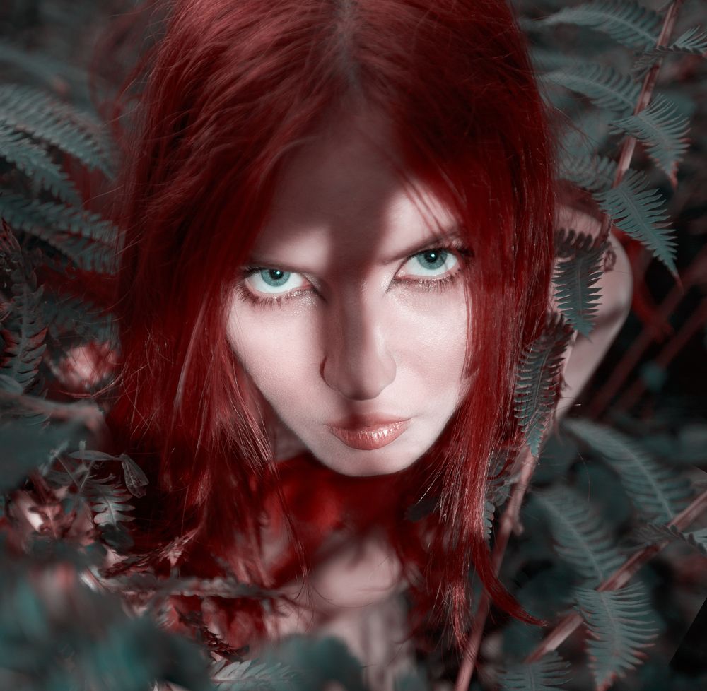 Magic fern