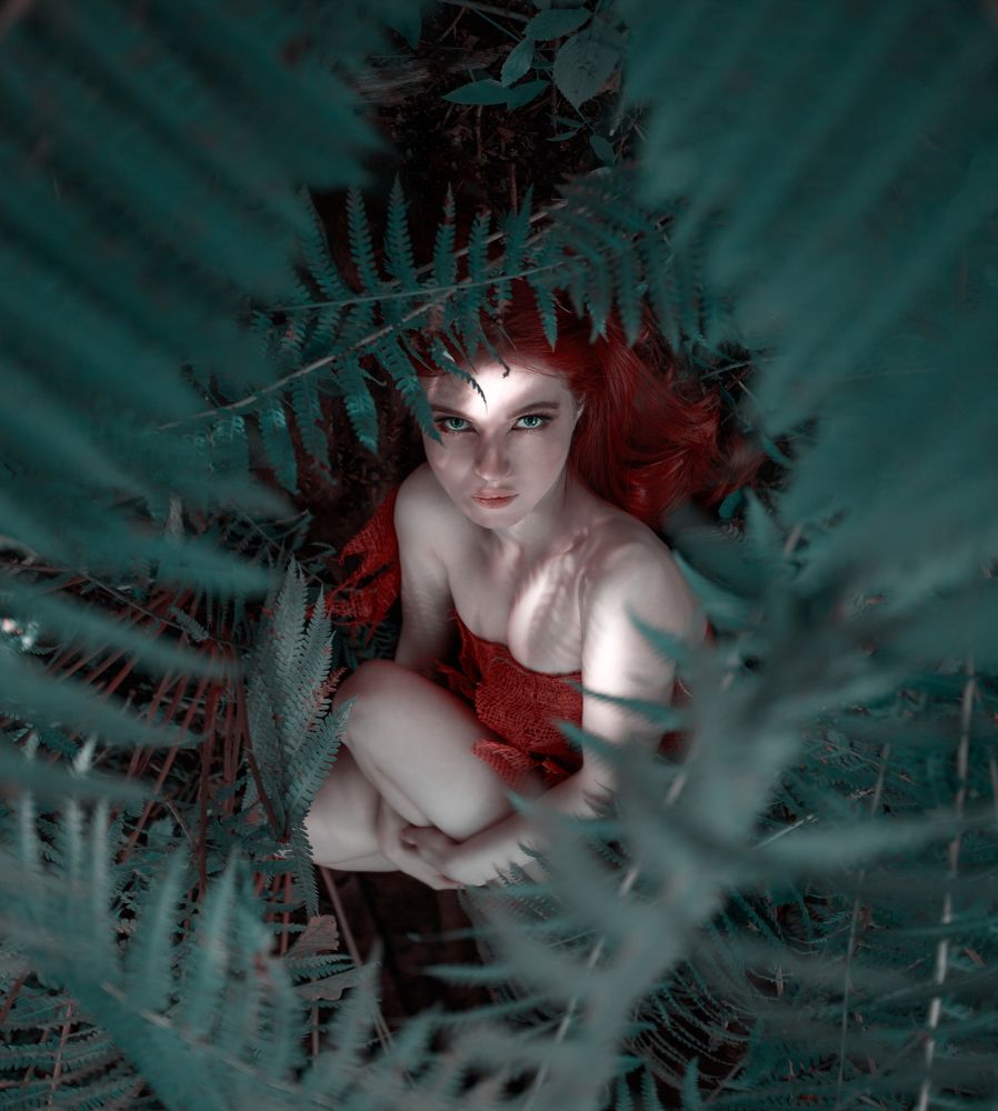 Magic fern