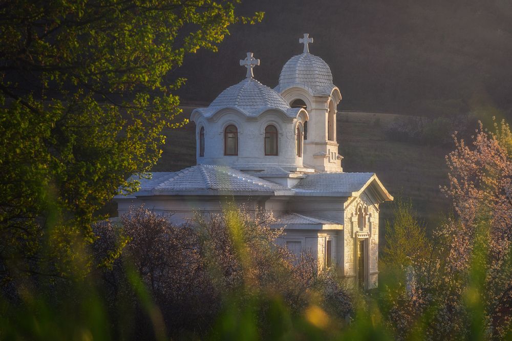 Лаки