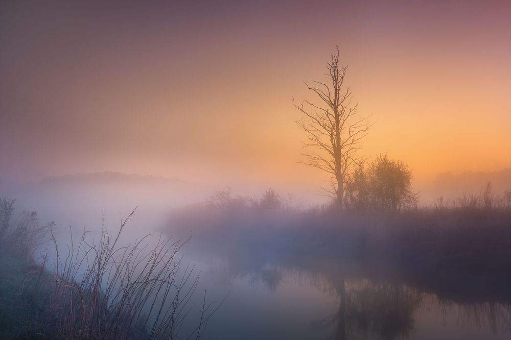 Photo 2412442
