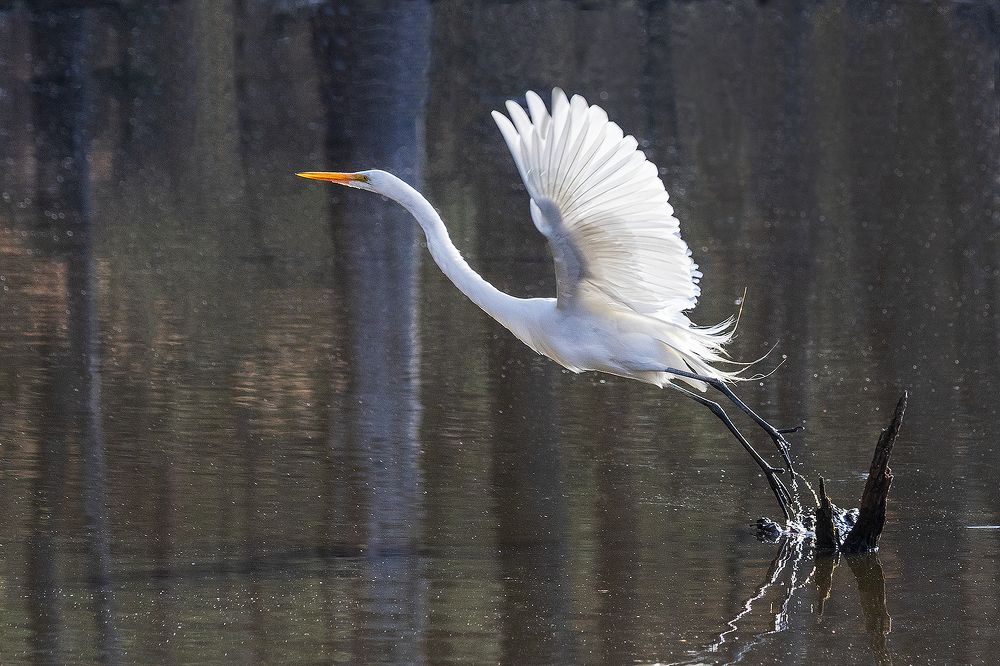 Photo 2412603