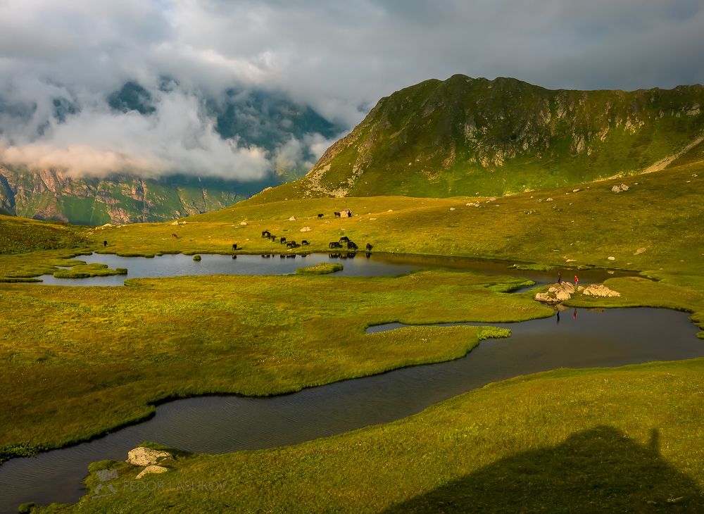 Лошади в горах