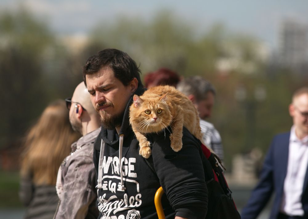 Весна. Встречи в парке