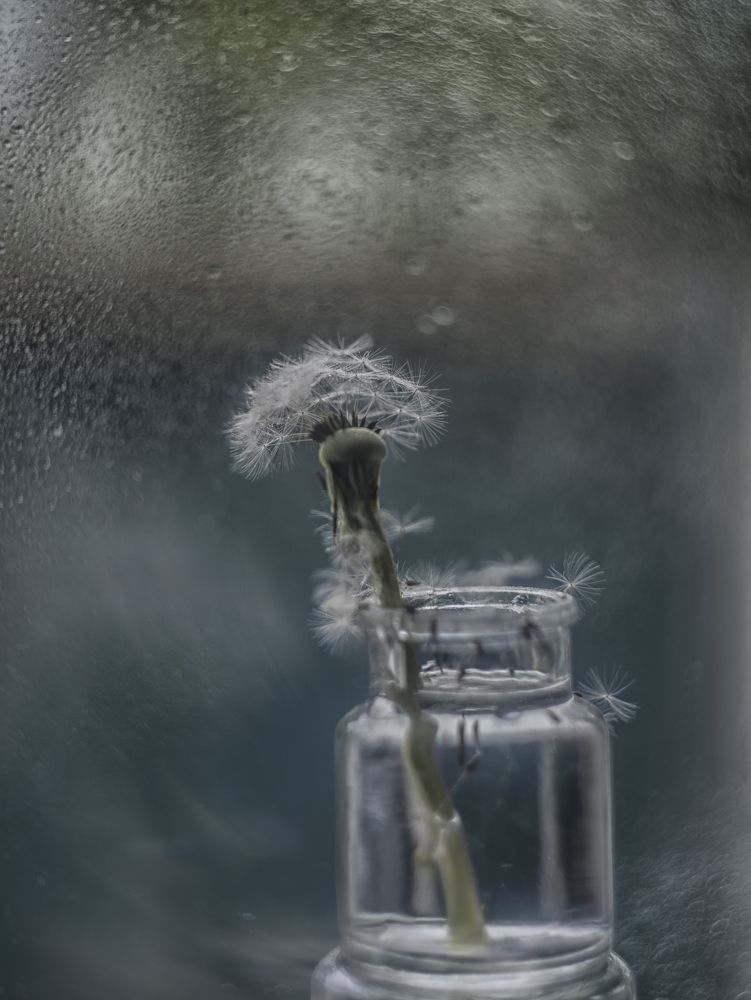 Дождь