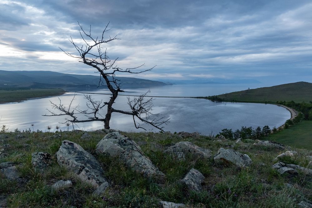 Байкальские кракозябры