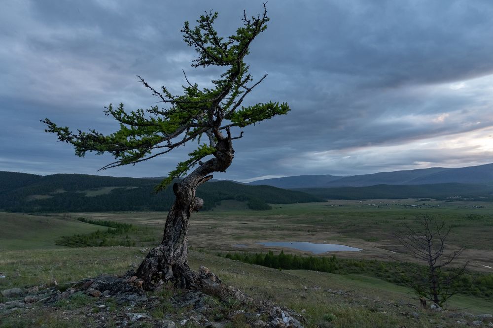 Байкальские кракозябры