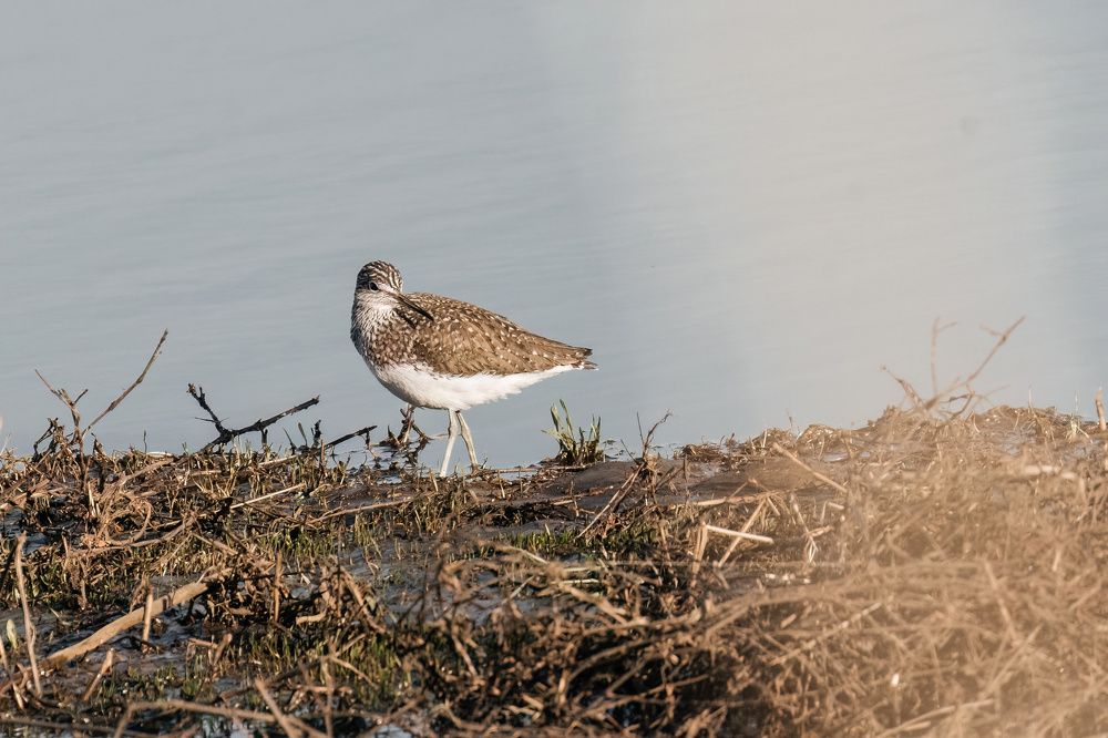 Photo 2414407