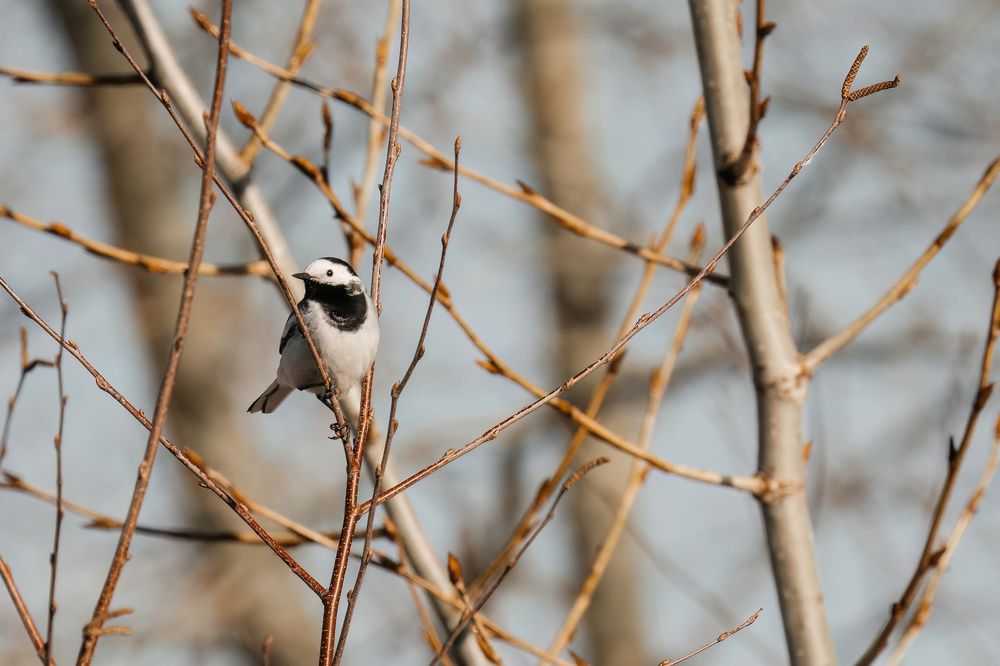 Photo 2414408