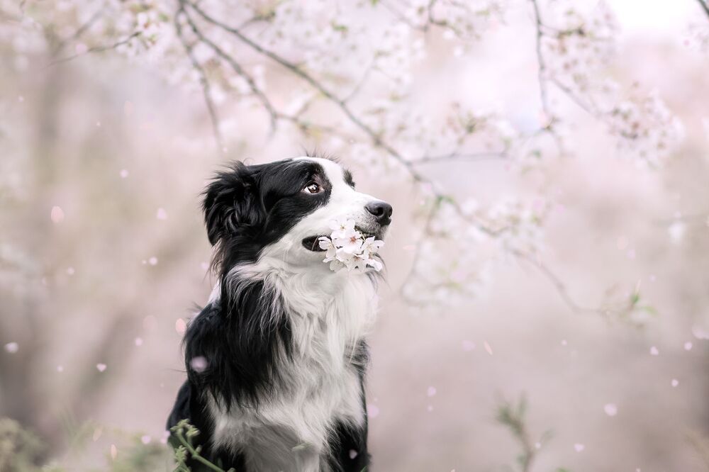 Photo 2414523