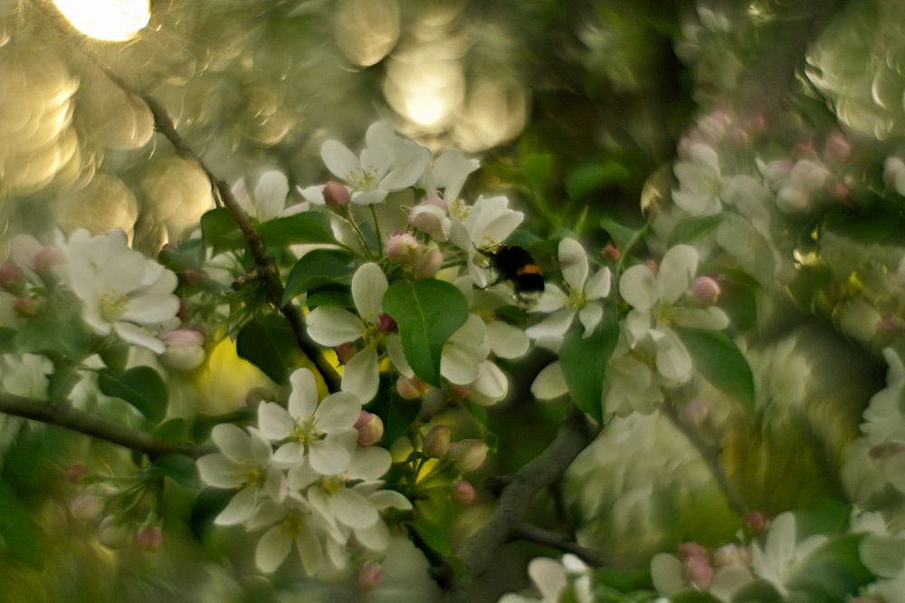 Photo 2414644