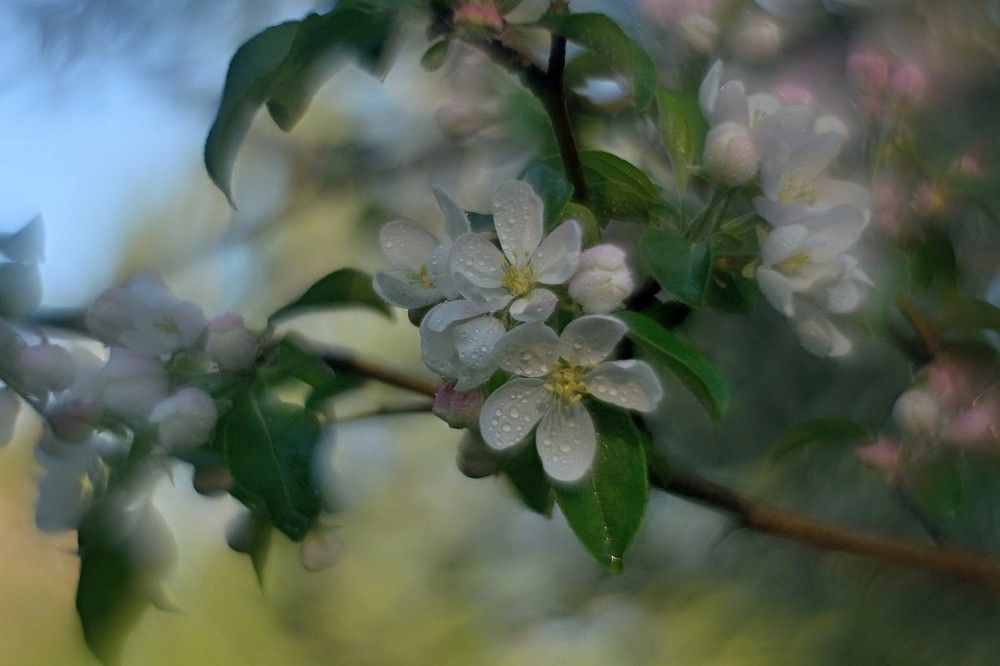Photo 2414645