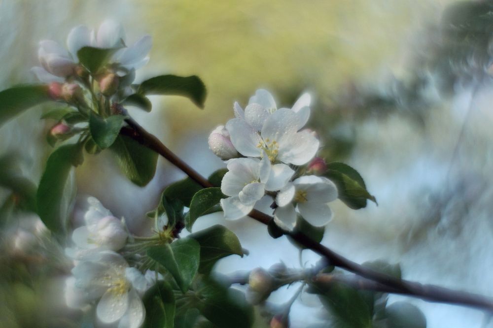 Photo 2414646