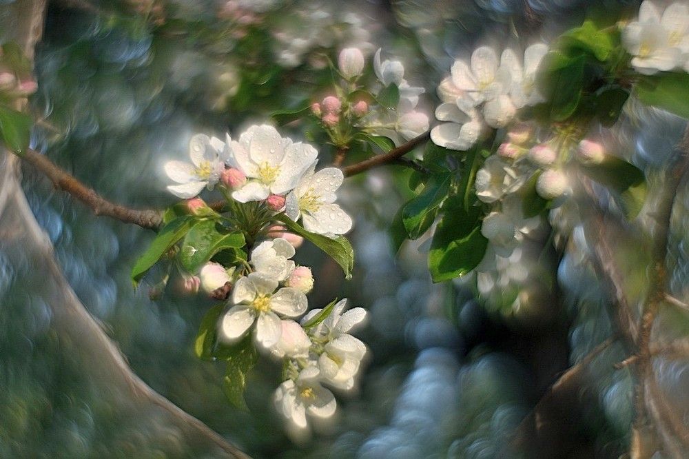 Photo 2414647