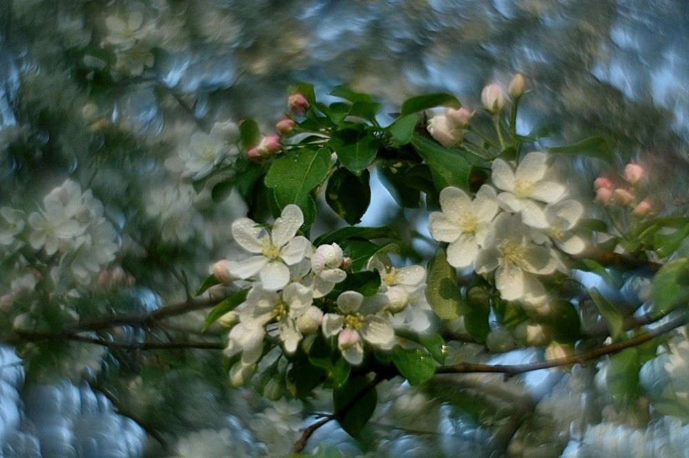 Photo 2414648
