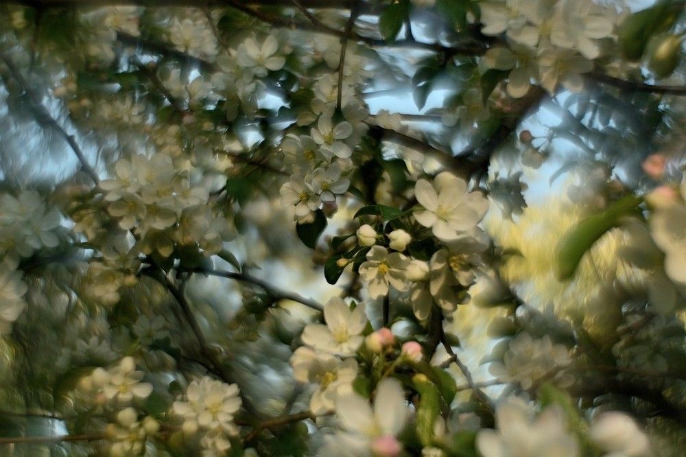 Photo 2414649