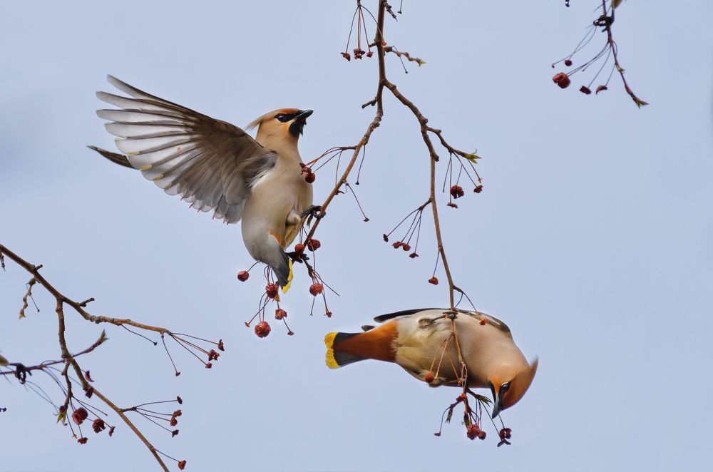 Photo 2415914