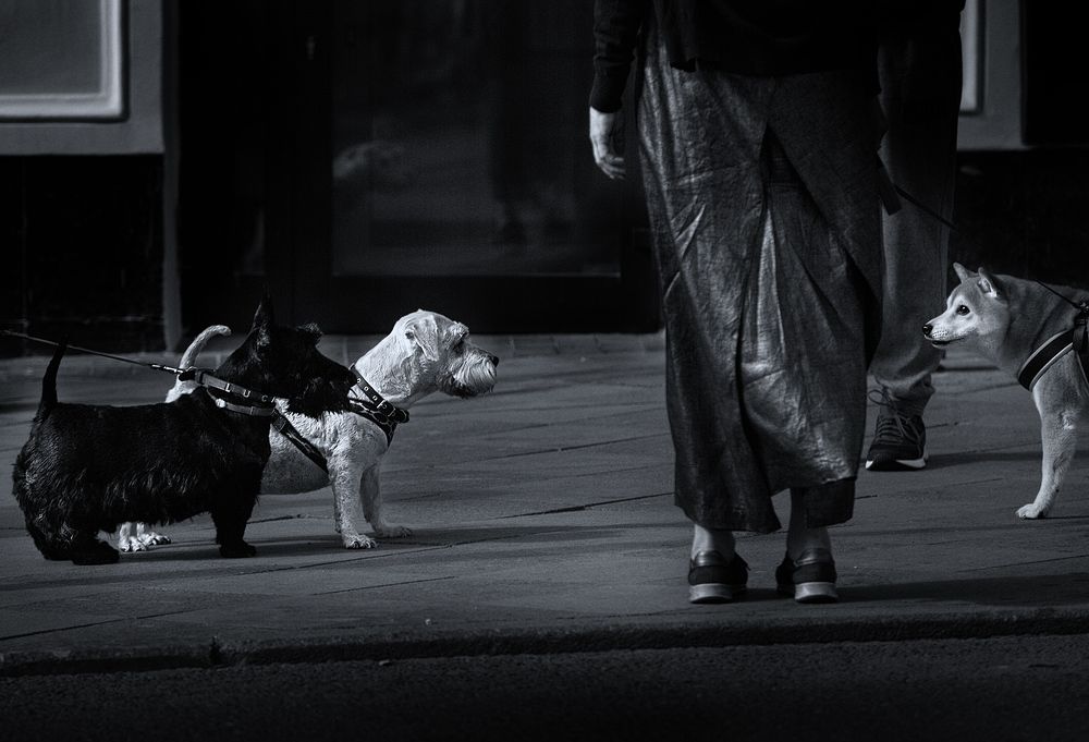 black and white