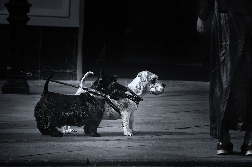 black and white