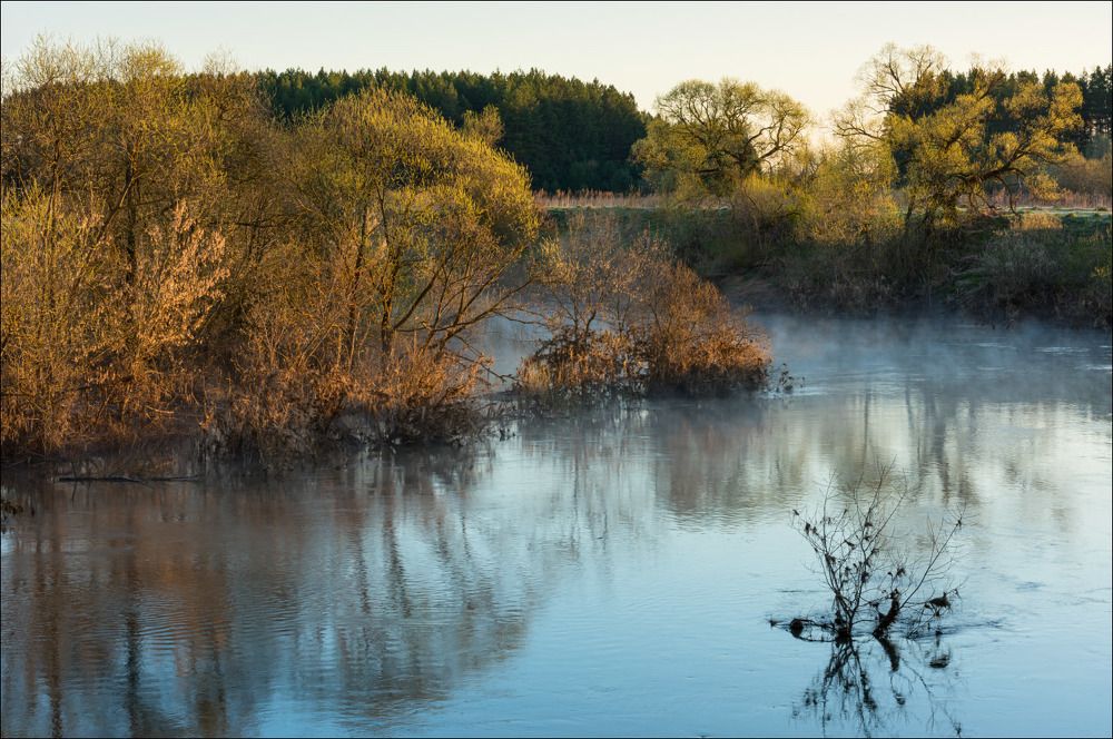 Майское утро. Вода спадает.