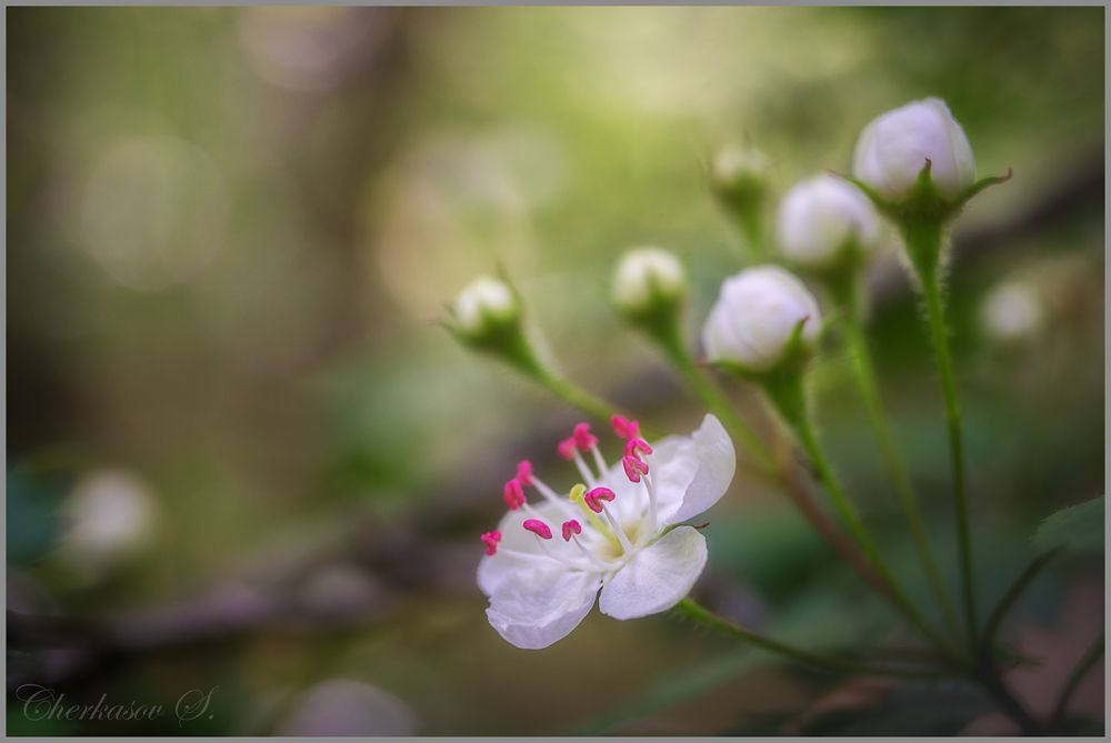 Photo 2416622