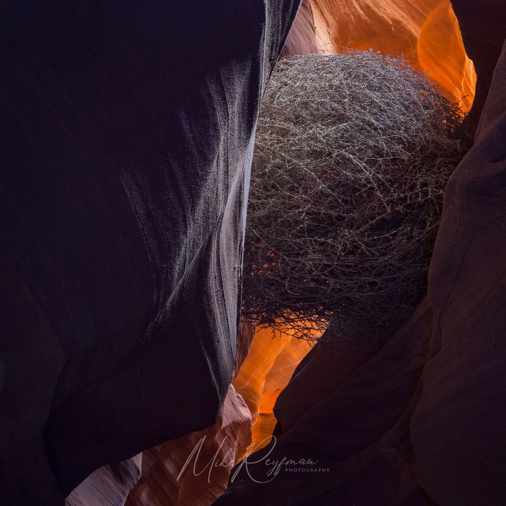 Antelope Canyons
